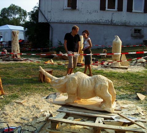 Nashorn001