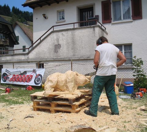 Nashorn002
