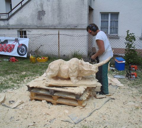 Nashorn004