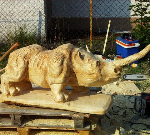 Nashorn009