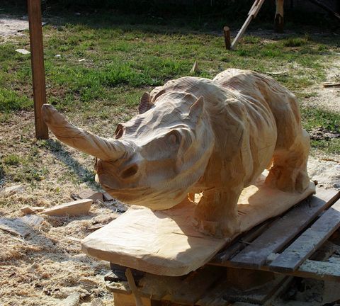 Nashorn011