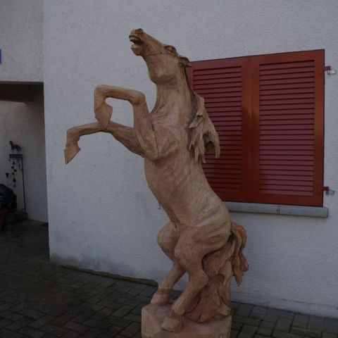 IMGP0026
