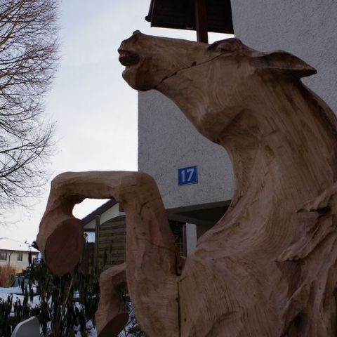 IMGP0029