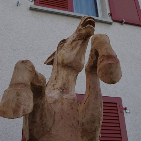 IMGP0042