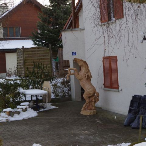IMGP0047