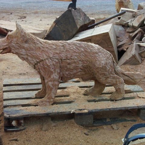 Schaeferhund- 01
