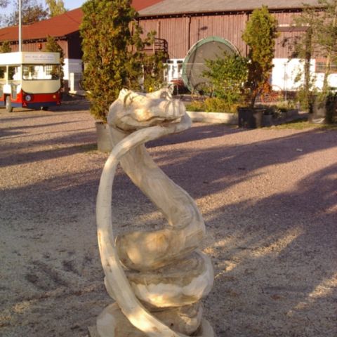 Schlange - 004