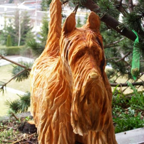 Hund - 001