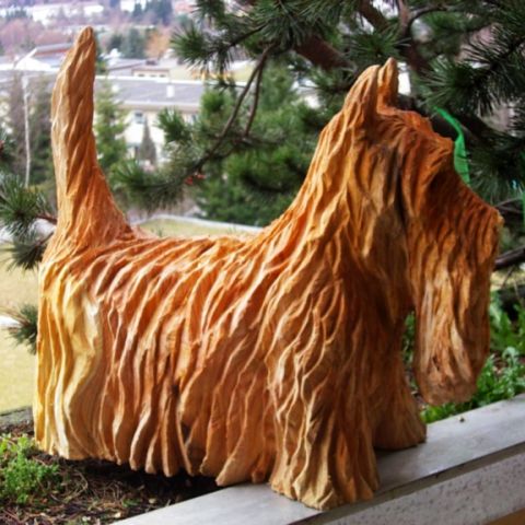 Hund - 002