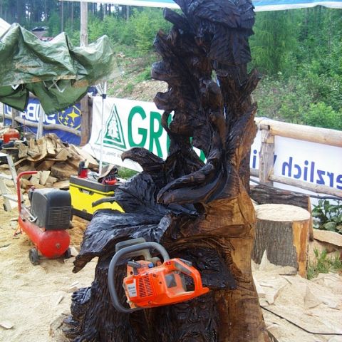 husqvarna cup 07 - 46