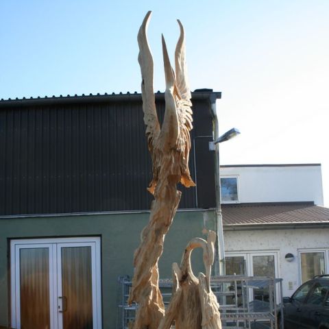 IMG 7758