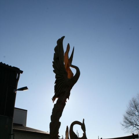 IMG 7760