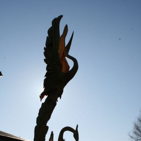 IMG 7762