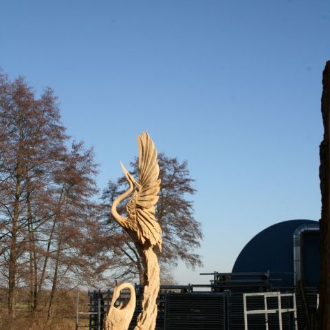 IMG 7767
