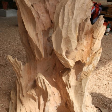 IMG 7303