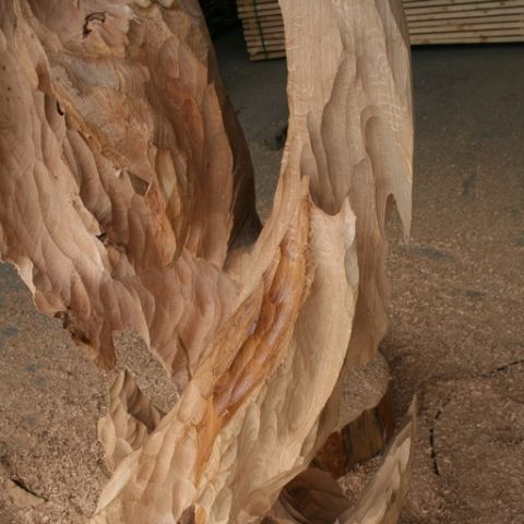 IMG 7317