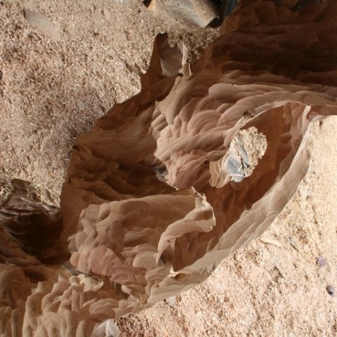 IMG 7330