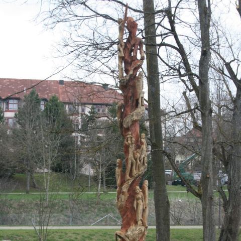 IMG 0939