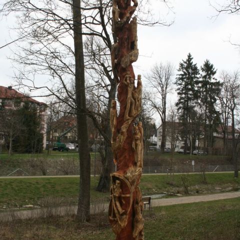 IMG 0951