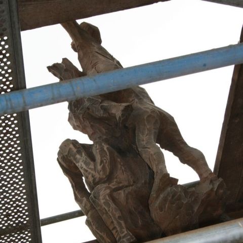 IMG 7003