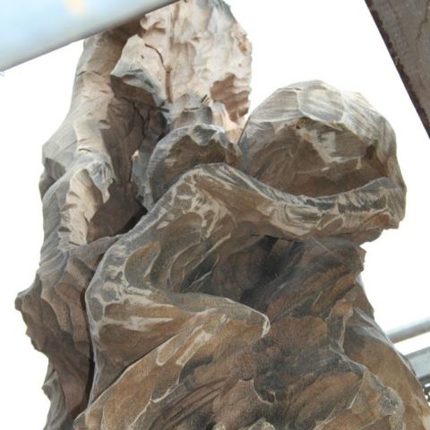 IMG 7010