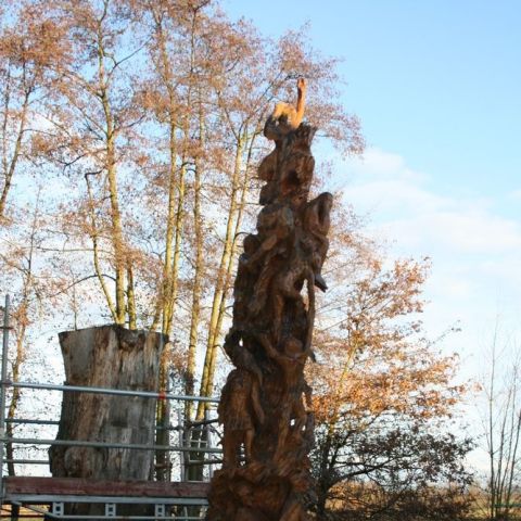 IMG 7174