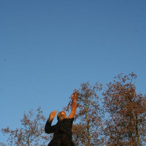 IMG 7176