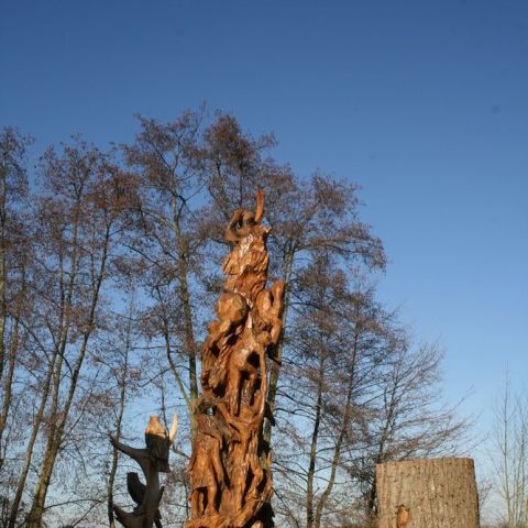 IMG 7777