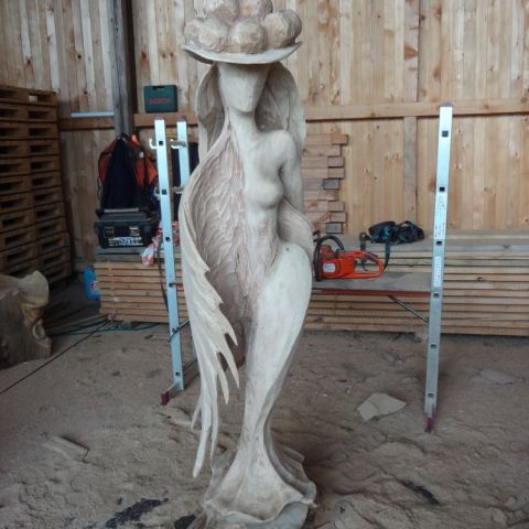 DSC00217