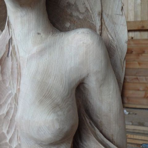 DSC00219