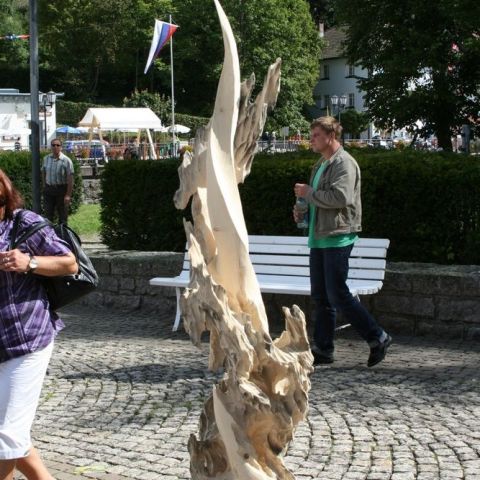 IMG 5329