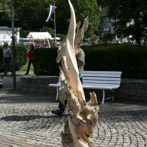 IMG 5330