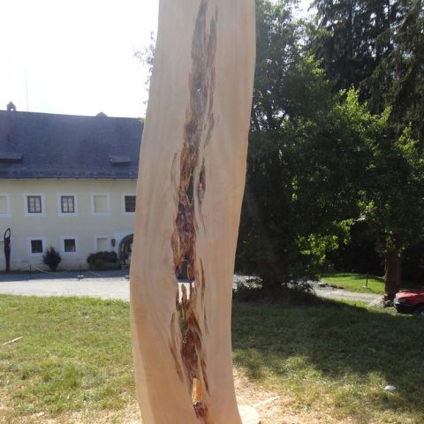 DSC02348