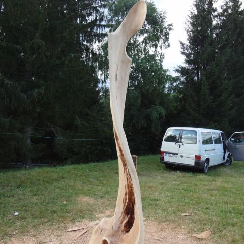 DSC02399