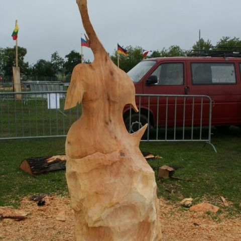 IMG 9959