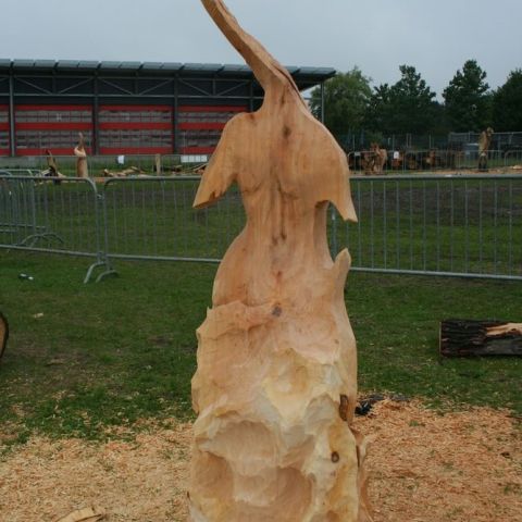 IMG 9960