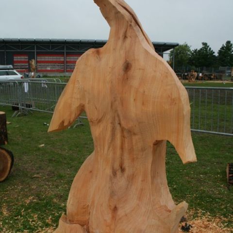 IMG 9971