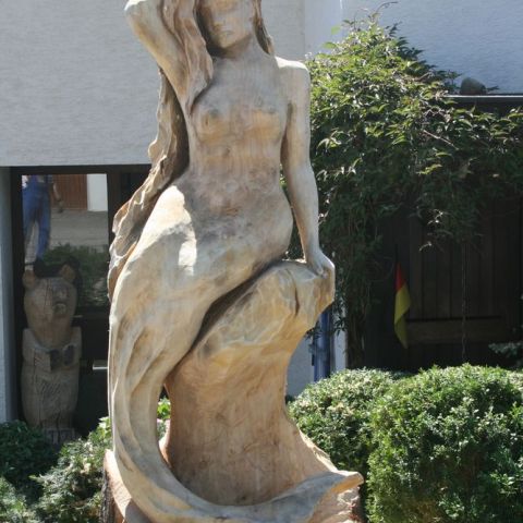 IMG 4036
