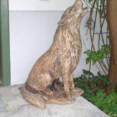 DSC00379