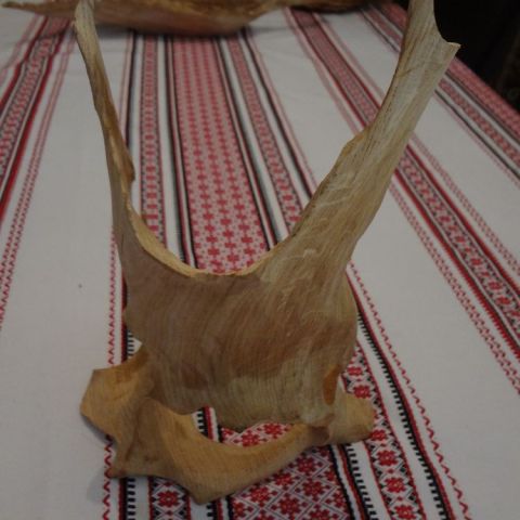 DSC02072