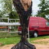 Igor Loskutow  Kunst mit Kettensäge, Schnitzerei, Skulptur: fasnacarving_DAY20388